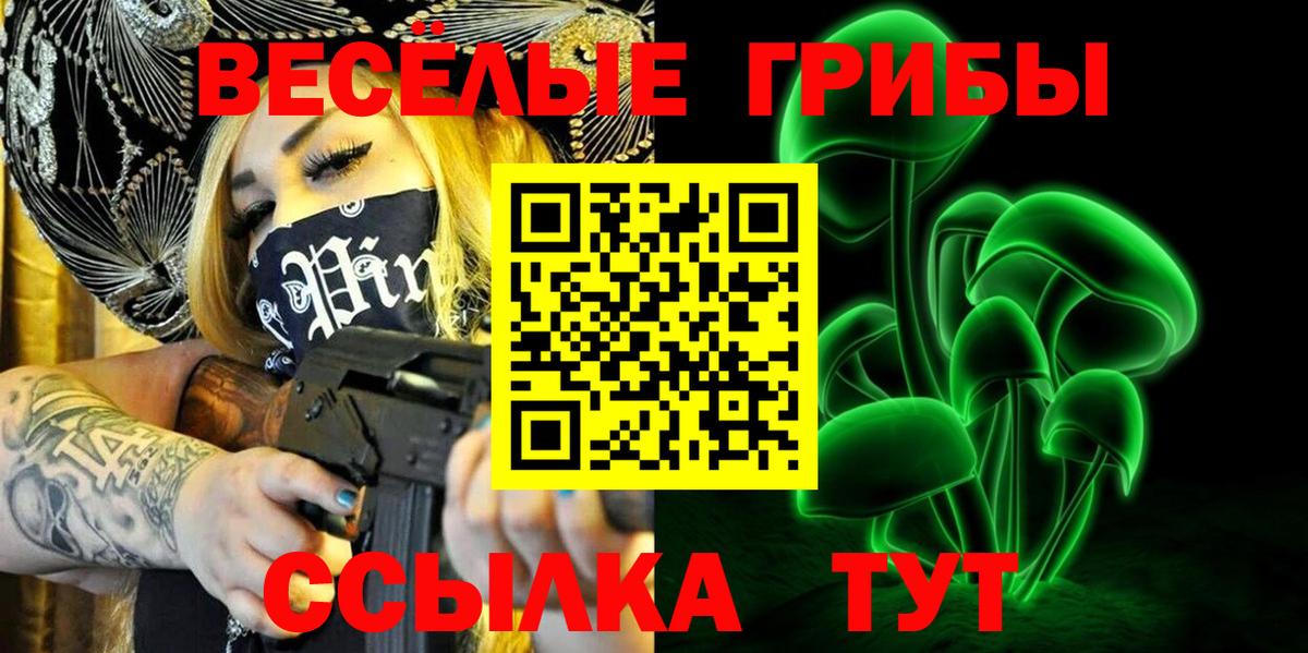 Псилоцибиновые грибы Psilocybine cubensis Евпатория
